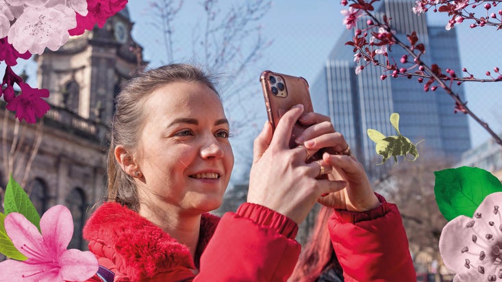Person taking a photo of blossom tree in front of a cathedral